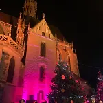 Nid Douillet En Alsace, Pros Et Familles Appartamento Thann