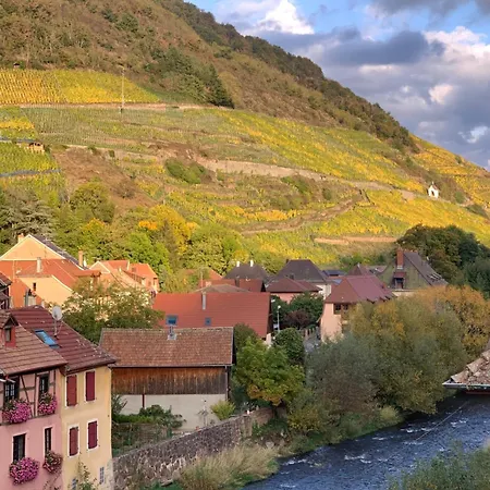 Nid Douillet En Alsace, Pros Et Familles Lägenhet