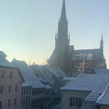 Lägenhet Nid Douillet En Alsace, Pros Et Familles Thann