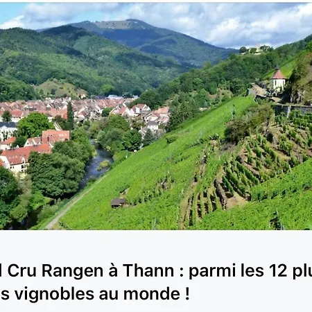 Apartment Cosy Centre Historique Thann