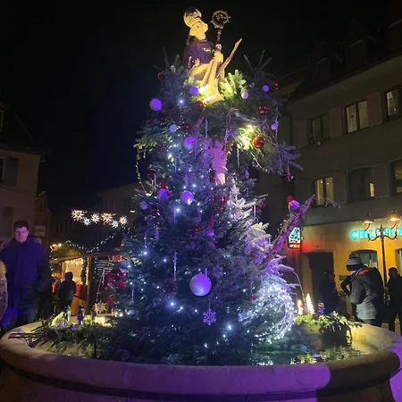 Lägenhet Nid Douillet En Alsace, Pros Et Familles Thann