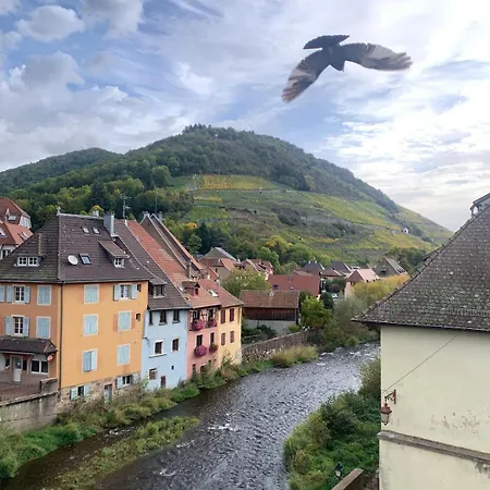 Cosy Centre Historique Διαμέρισμα *