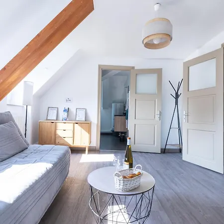 Διαμέρισμα Cosy Centre Historique Thann