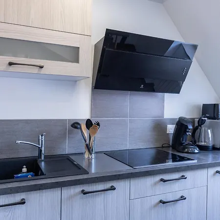 Cosy Centre Historique Διαμέρισμα Thann