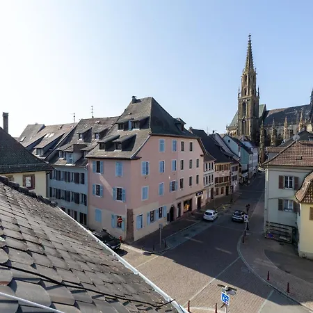 Appartamento Nid Douillet En Alsace, Pros Et Familles