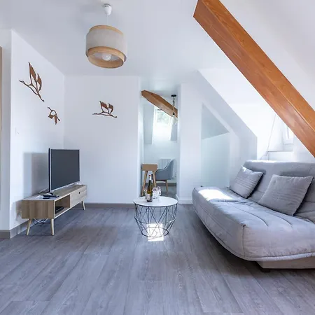 Διαμέρισμα Cosy Centre Historique Thann