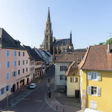 Nid Douillet En Alsace, Pros Et Familles