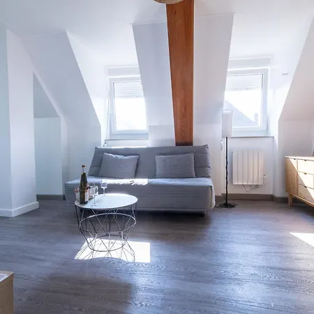 Διαμέρισμα Cosy Centre Historique Thann