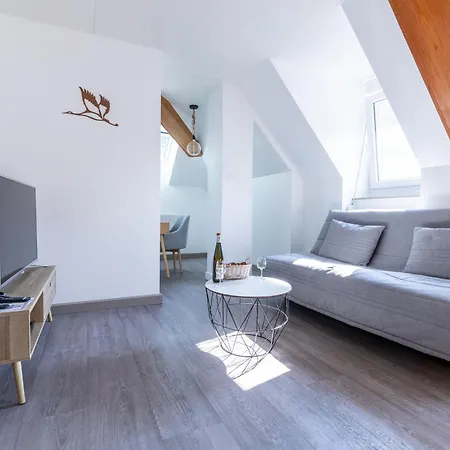 Διαμέρισμα Cosy Centre Historique Thann