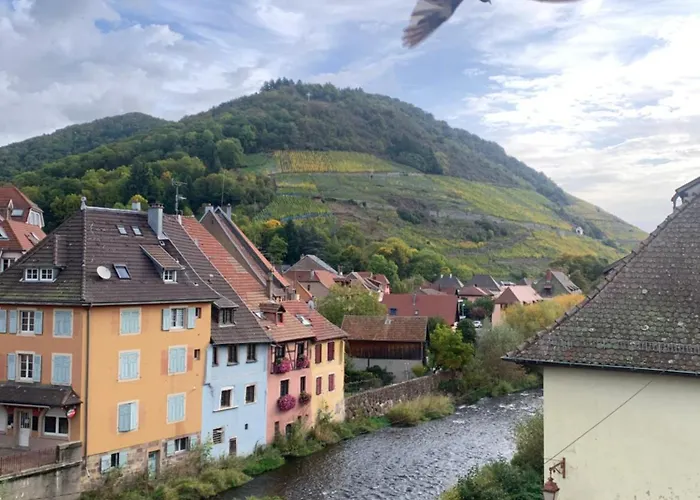 Daire Nid Douillet En Alsace, Pros Et Familles Thann