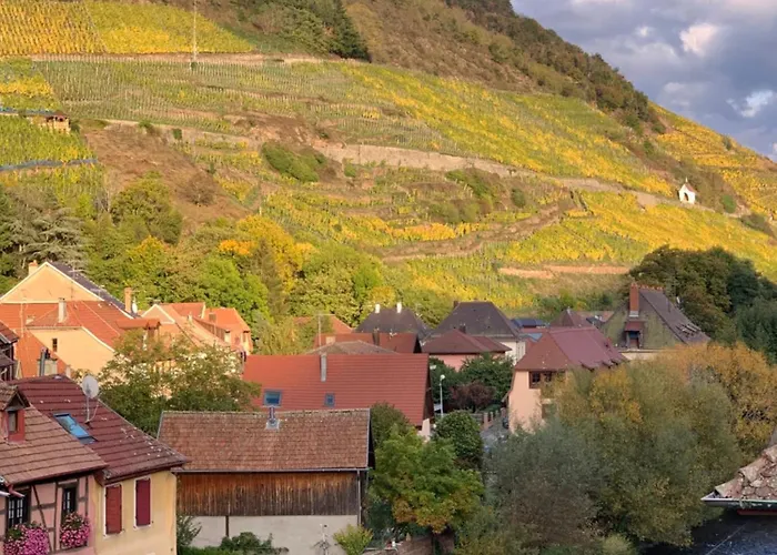 Nid Douillet En Alsace, Pros Et Familles Daire