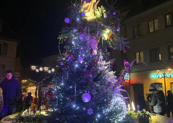 Daire Nid Douillet En Alsace, Pros Et Familles Thann