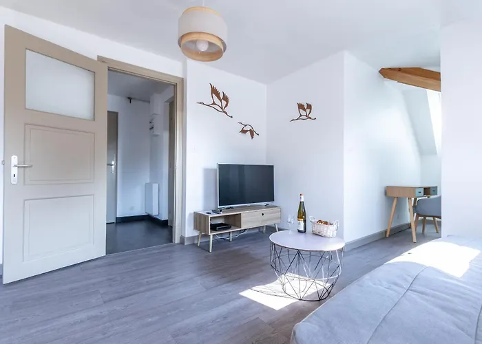 Daire Nid Douillet En Alsace, Pros Et Familles *